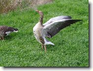 Musím se protáhnout