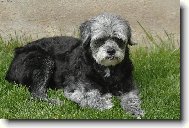 Odpočinek v trávě