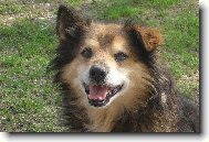 směska - ale povedená