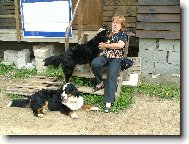 V obležení berňákem...