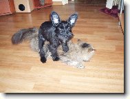 ... sem říkal že nemá šanci