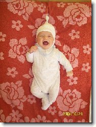 Živý "teletabísek"