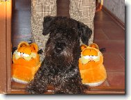 dva na jednoho je nefér