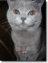 Krasavice s náhrdelníkem