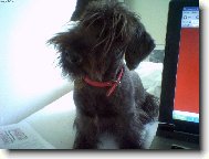 copak po mě chcete...