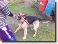 Pozor nevypadám tak,ale jsem drsnej!!!