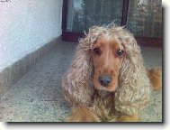 Jsme tak krásné stvoření