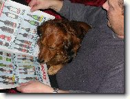 Dnes mám chuť na bílé