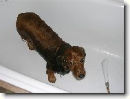 Nemám rád koupání