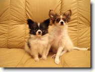 To je naše pohovčička ! Reserve !!!