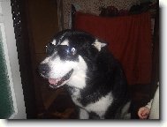 Mohl bych být modelem,co říkáte:-)