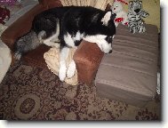 Hrozně rád spím v křesle