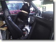 Lidičky nasedat,za chvíli vyjedu