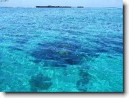 podvodní národní park