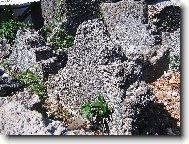 hřbytov s korálovými pomníky