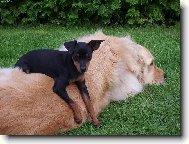 tady je moje místečko