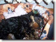 Dávám si šlofíka po obídku