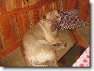 Jen trochu odpočívám...