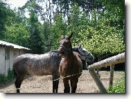 všíchni jsou ospalí
