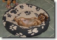 Jsem chlap a kdo je víc......