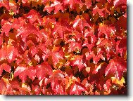 tak takovouhle máme fasádu