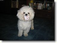 To jsem našel a nikomu to nedám