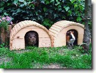 morčata na letním bytě