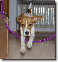 Už letííííím!!!