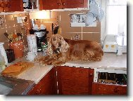 Tak kde máš to slibované masíčko ?