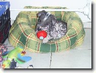 No není k sežrání