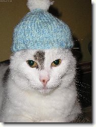 Zima už mě nepřekvapí