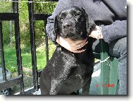 Panička ma volá AIDA-šelma preúkrutná...:-)