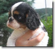 8 týdenní Big Brother ze Slunné stráně