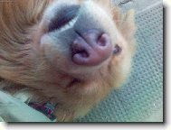 Už víte jak rád se fotím?