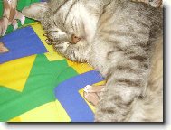 spinkám!!zzz..z.z.z..zzzzzzzzzzzz