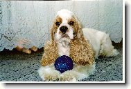 Vím.že mi to sekne......