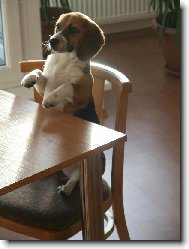 Packy mám umyté, tak noste na stůl.