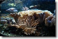 Podmořský svět v Praze-Holešovicích