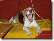 Uáááá, to je ale nuda...