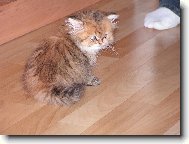 Musím to tu prozkoumat,teď mě dovezli!