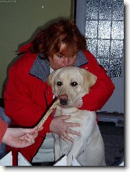 Náš miláček Denynek!