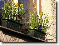 velikonoční okno...