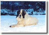 Ve sněhu jsem spokojen