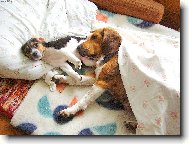 JÉ,UŽ ZASE STÁVAT!