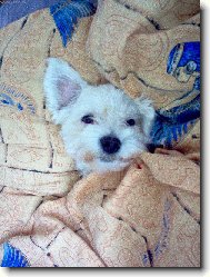 Zhasněte a jdem spát ...