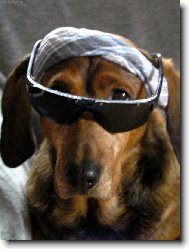 Nemáš opalovací krém?