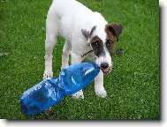 Petky jsou nejlepší!