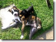 "Už tě mám fakt plný zuby"