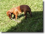 pohodička na chatě