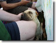 Zasloužený odpočinek